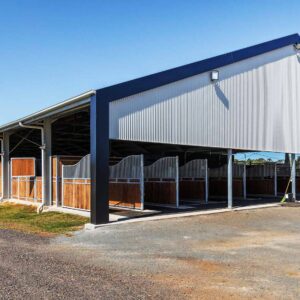 Delux-Horse-Arena-Web